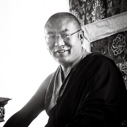 Shangpa Rinpoché